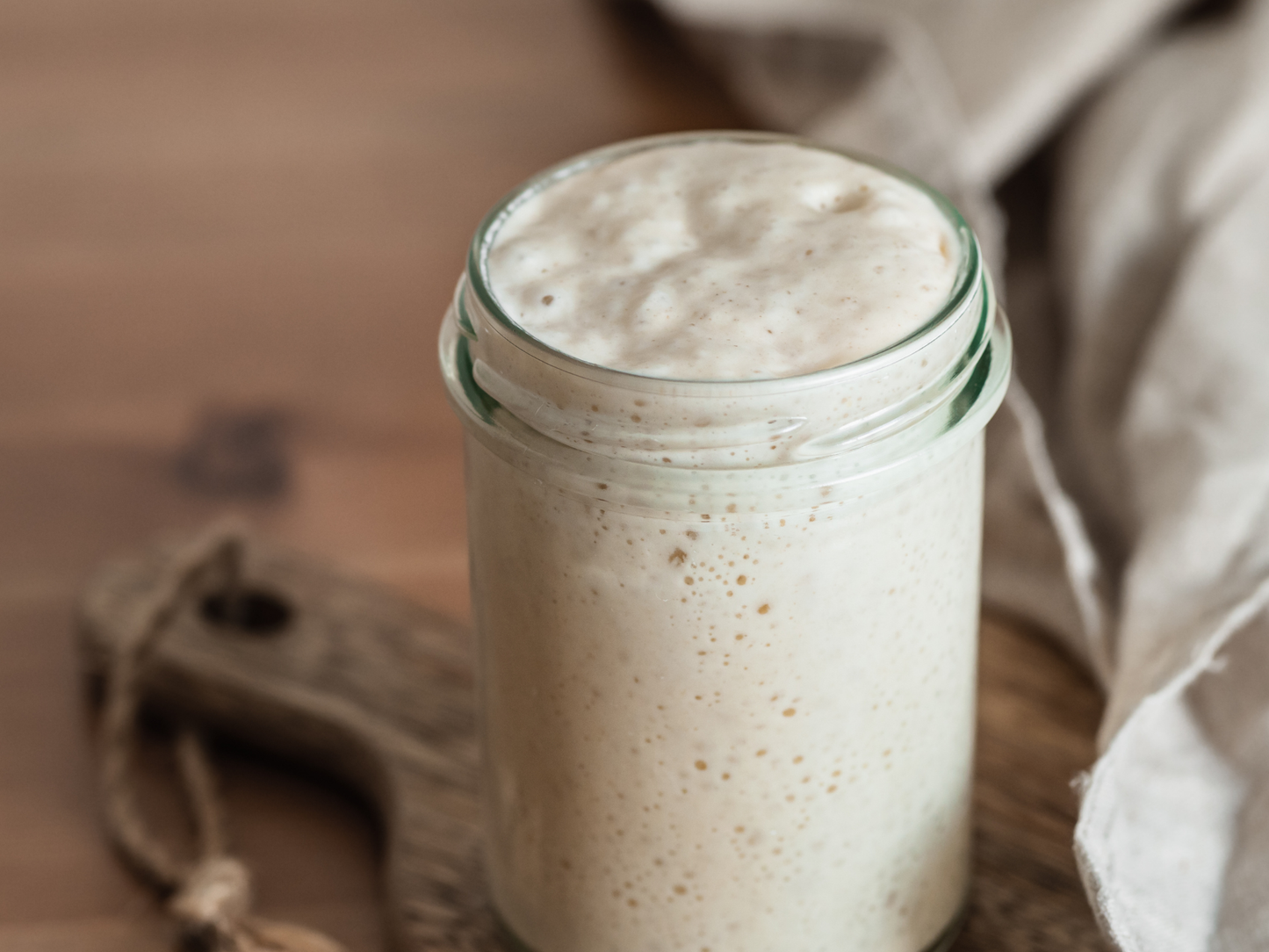 Homestead Market Freeze-Dried Sourdough Starter