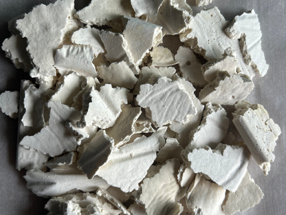 Homestead Market Freeze-Dried Sourdough Starter