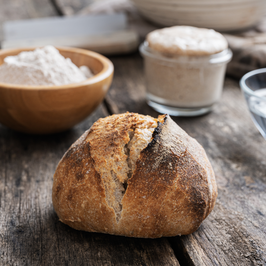 Homestead Market Freeze-Dried Sourdough Starter